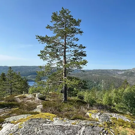 Luxury Mountain With Hot Tub And Trails Gautefall